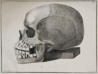 [Dentisterie] FOX (Joseph). Histoire naturelle...