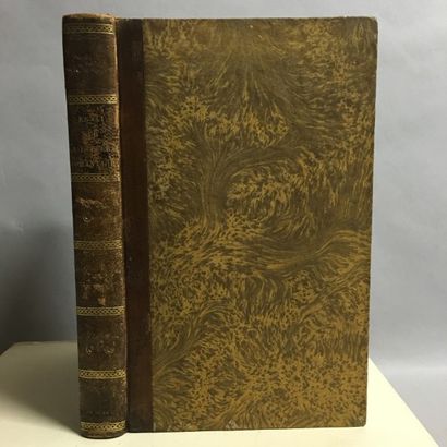 [CASTELNAU (Julius)]. Essai sur la littérature...