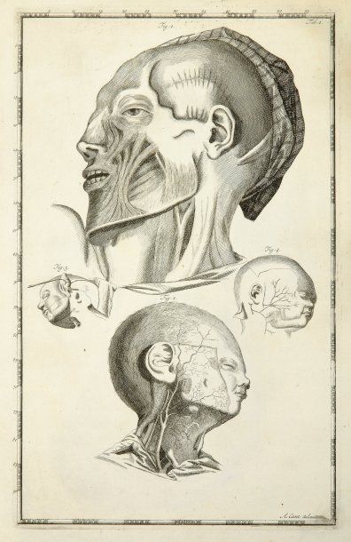 CANT, ARENT (1695-1723)
Impetus primi anatomici...