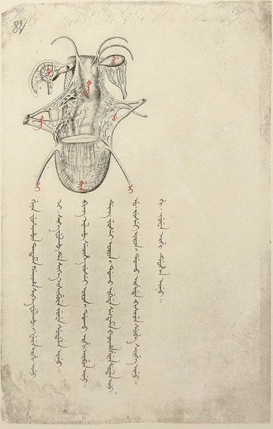CLOD-HANSEN, ABRAHAM
Anatomie Mandchoue....