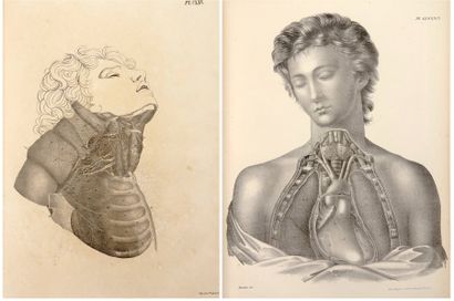 CLOQUET, JULES
Anatomie de l'homme, ou Description...