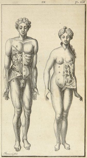 DIONIS, PIERRE
L'Anatomie de l'Homme suivant...