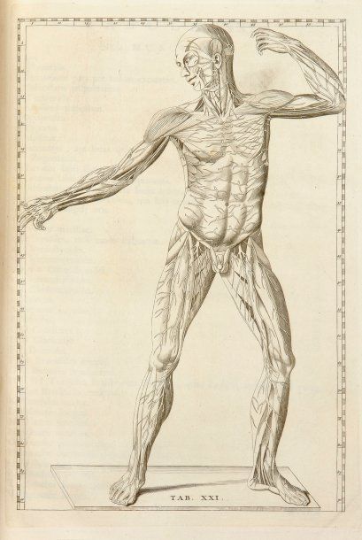EUSTACHIUS, BARTHOLOMEUS
B.S. Albini explicatio...