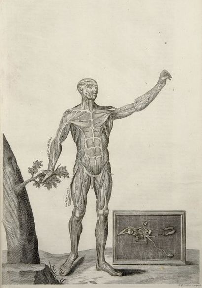 MANGET, JEAN-JACQUES
Theatrum anatomicum......