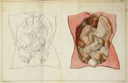 SANDIFORT, EDOUARD
Tabulae intestini duodeni....