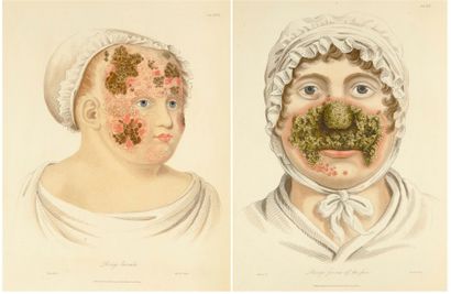 WILLAN, ROBERT & BATEMAN, THOMAS
Delineations...