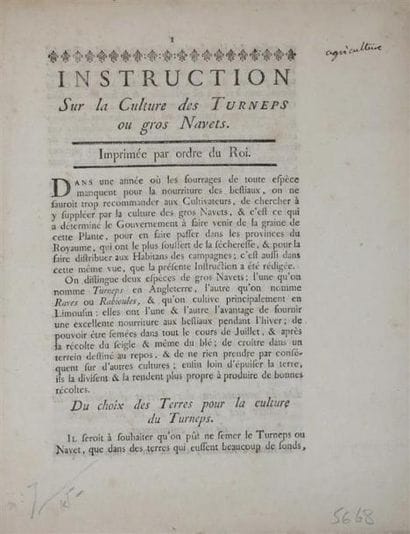 [Légumes]. Instruction sur la culture des...