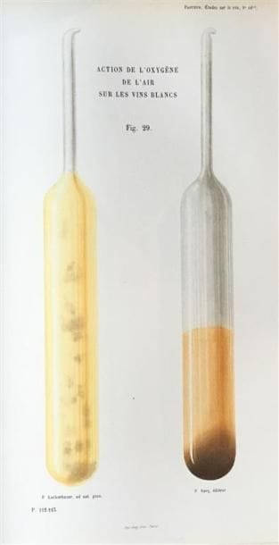 [Théorie de la pasteurisation]. PASTEUR (Louis)....