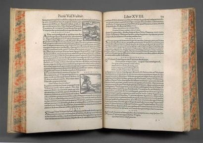 * [Livre illustré du XVIe siècle]. PIERIO...