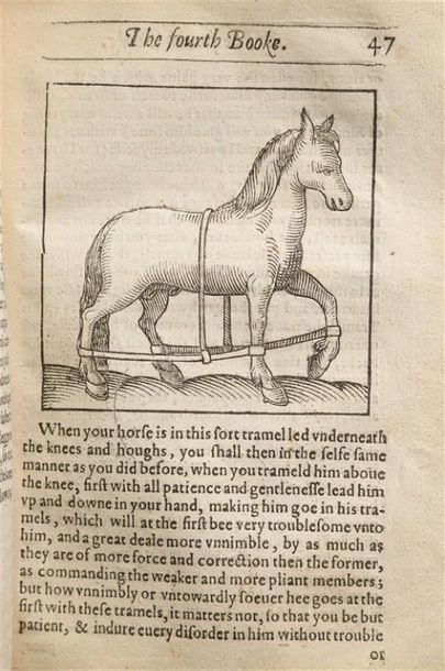 MARKHAM (Gervase). Cavalarice, or the English...
