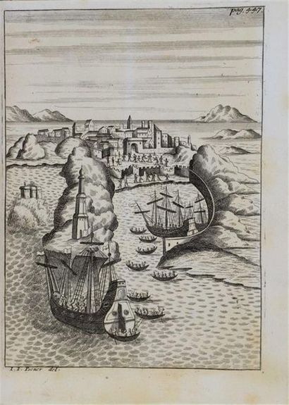 KRUMP (Theodor). Hoher und fruchtbahrer Palm-Baum...