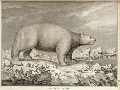 COOK (James), KING (James). Troisième voyage...