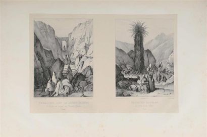 LABORDE (Léon de) ; LINANT (Adolphe). Voyage...