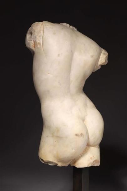 Torse attribué à l'Apollon Sauroctone.
Torse...