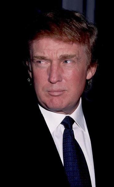 DONALD TRUMP.
By Rose Hartman.
Tony Shafrazi...