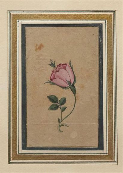 PORTRAIT DE PRINCESSE MOGHOLE DITE NUR JAHAN...