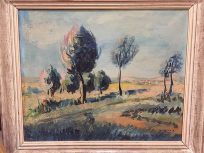 ECOLE MODERNE.
Paysage.
Acrylique sur toile...