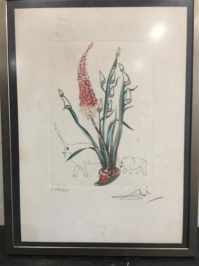 Salvador DALI, d'après.
Rhinocéros et plantes.
Lithographie,...