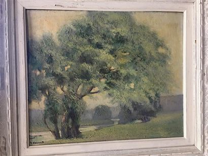 Jean DANNET (1912-1997).
Arbre dans la campagne.
Huile...