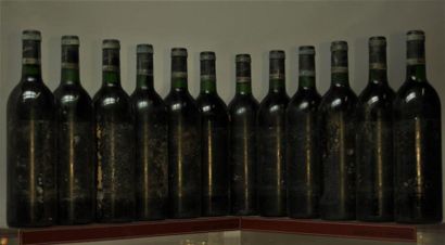 12 bouteilles CHÂTEAU TROTTEVIEILLE - 1er...