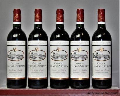 5 bouteilles CHÂTEAU CHASSE SPLEEN - Moulis...