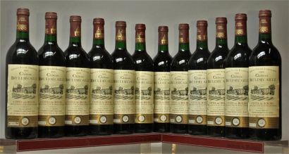 12 bouteilles CHÂTEAU BRULESÉCAILLE - Côtes...