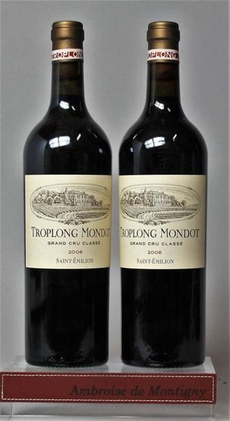 2 bouteilles CHÂTEAU TROPLONG MONDOT - St....