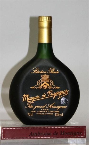 1 bouteille TRÈS GRAND ARMAGNAC SÉLECTION...