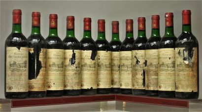 12 bouteilles CHÂTEAU BRULESÉCAILLE - Côtes...