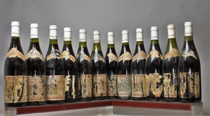 12 bouteilles HAUTES CÔTES DE NUITS 