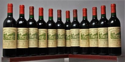 12 bouteilles CHÂTEAU CARBONNIEUX - CC Pessac...