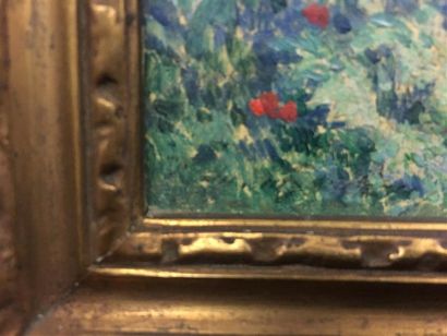 Ferdinand du PUIGAUDEAU (1864-1930).
Les...