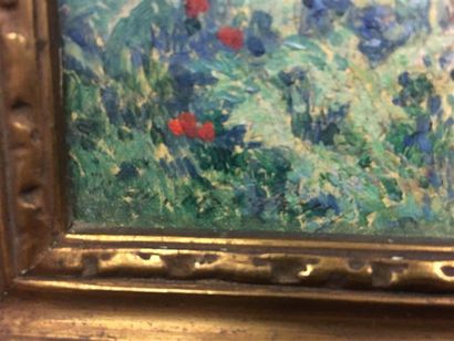 Ferdinand du PUIGAUDEAU (1864-1930).
Les...