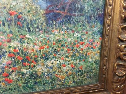 Ferdinand du PUIGAUDEAU (1864-1930).
Les...