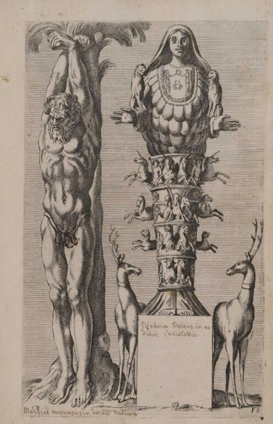 [Gravures]. PERRIER (François). Segmenta...
