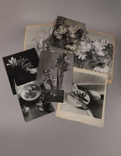 André DURAND.
Natures mortes et études végétales,...