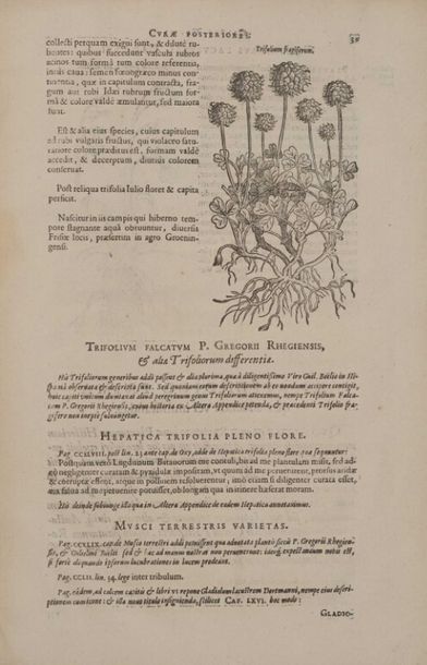 L'ÉCLUSE (Charles de). Curae posteriores,...