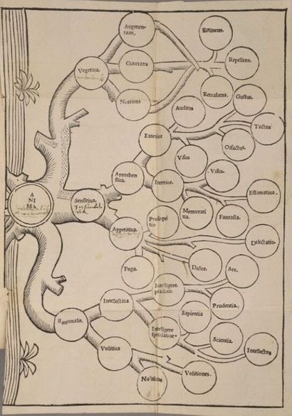[Livre du XVIe siècle]. MANDERSTON (William)....