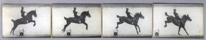 Étienne-Jules MAREY (1830-1904)
Station physiologique...