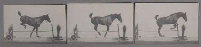 Étienne-Jules MAREY (1830-1904)
Station physiologique...
