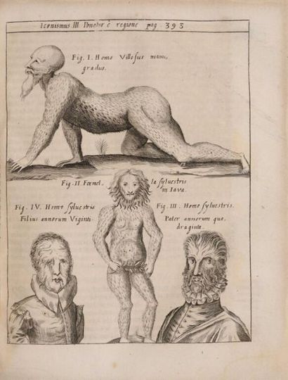 SCHOTT (Gaspar). Physica curiosa, sive Mirabilia...