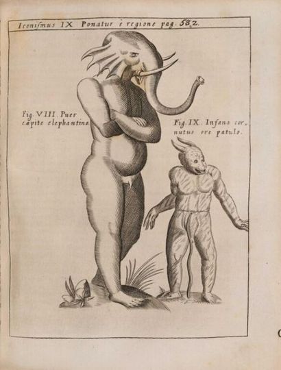 SCHOTT (Gaspar). Physica curiosa, sive Mirabilia...