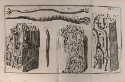 [SELLIUS (Gottfried)]. Neue gründlich historisch...
