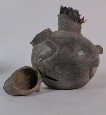 PÉROU, Chimu - 1100-1200. Vase zoomorphe...