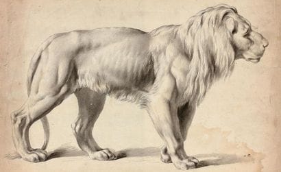 de BOISSIEU Jean-Jacques (Lyon 1736-1810)
