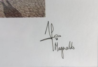MAGNALDO.
Deux photographies
signées en bas...