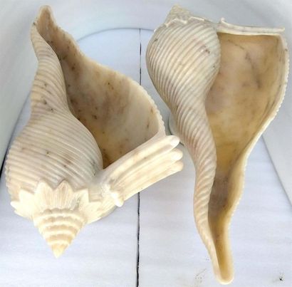 Paire de coquillages en marbre.
Long. 40...