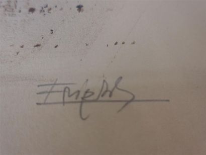 FRI ? Lithographie, encadrée. numérotée 21/25....