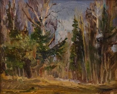 VRUBLEVSKEY Sergey (1959)
