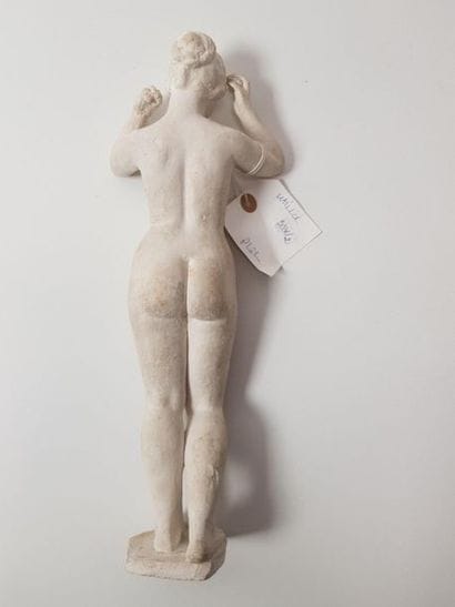d'après Aristide MAILLOL 
Femme nue les bras...